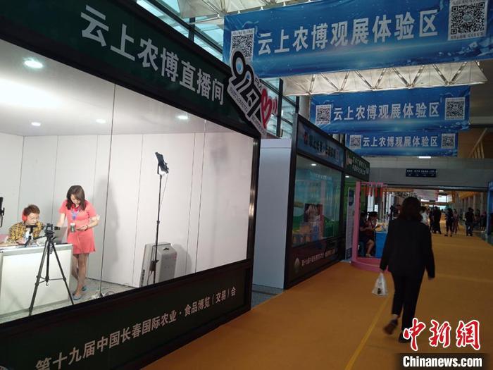 长春农博会云上农博观展体验区 高龙安 摄