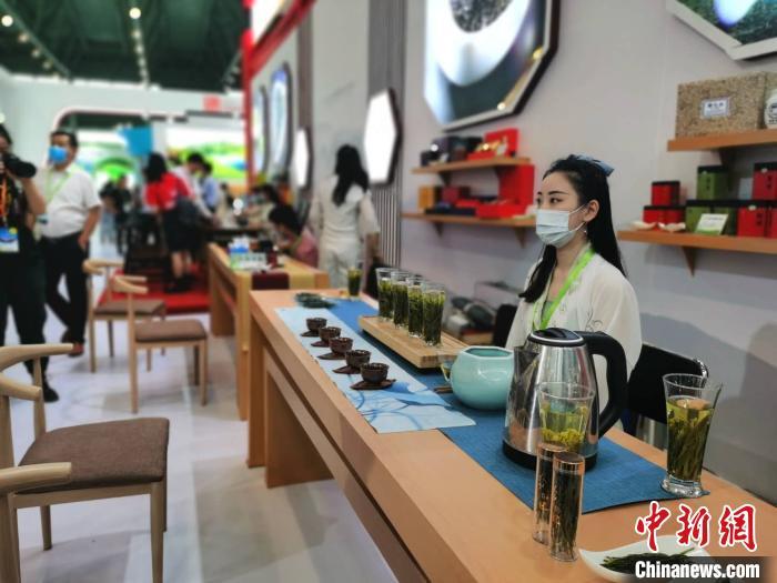 茶艺展示 张强 摄